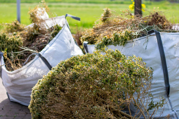 Best Local Junk Hauling  in Saticoy, CA
